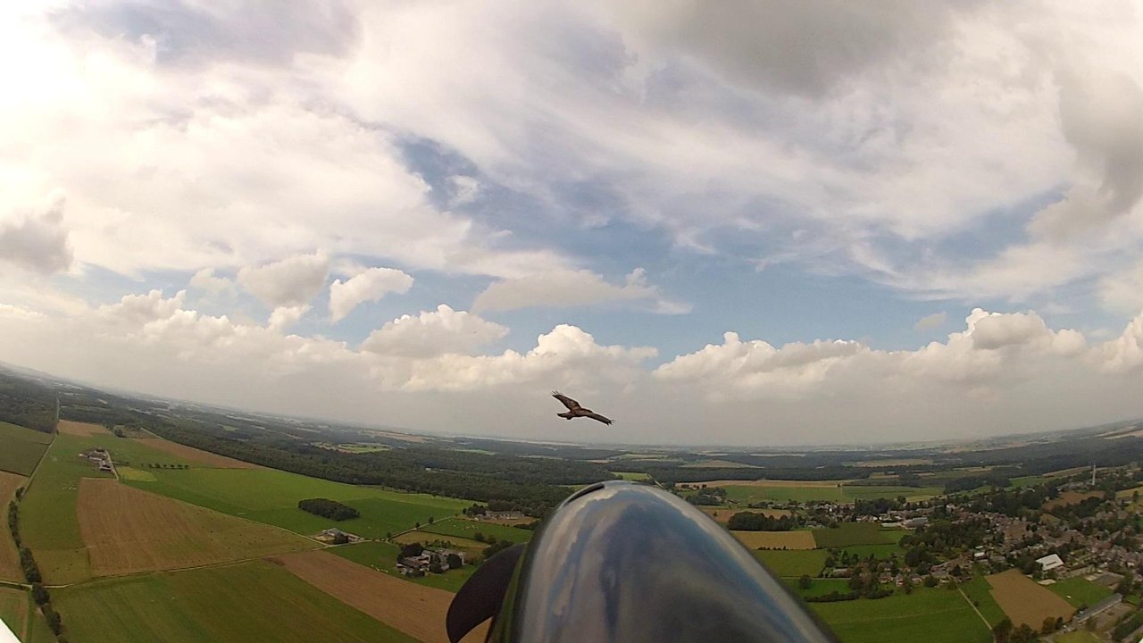 Sosa Gliding Club - Tourism Hamilton