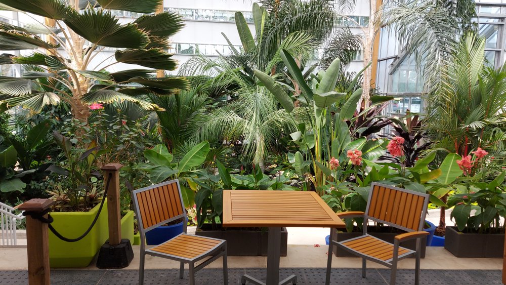 Interior shot of Gage Park Greenhouse.