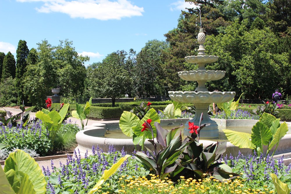 Kids walking on a trail through Royal Botantical Gardens  surrounded by greenery and flowers.