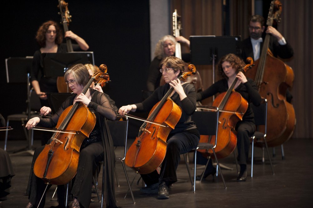 Hamilton Philharmonic Orchestra in concert.