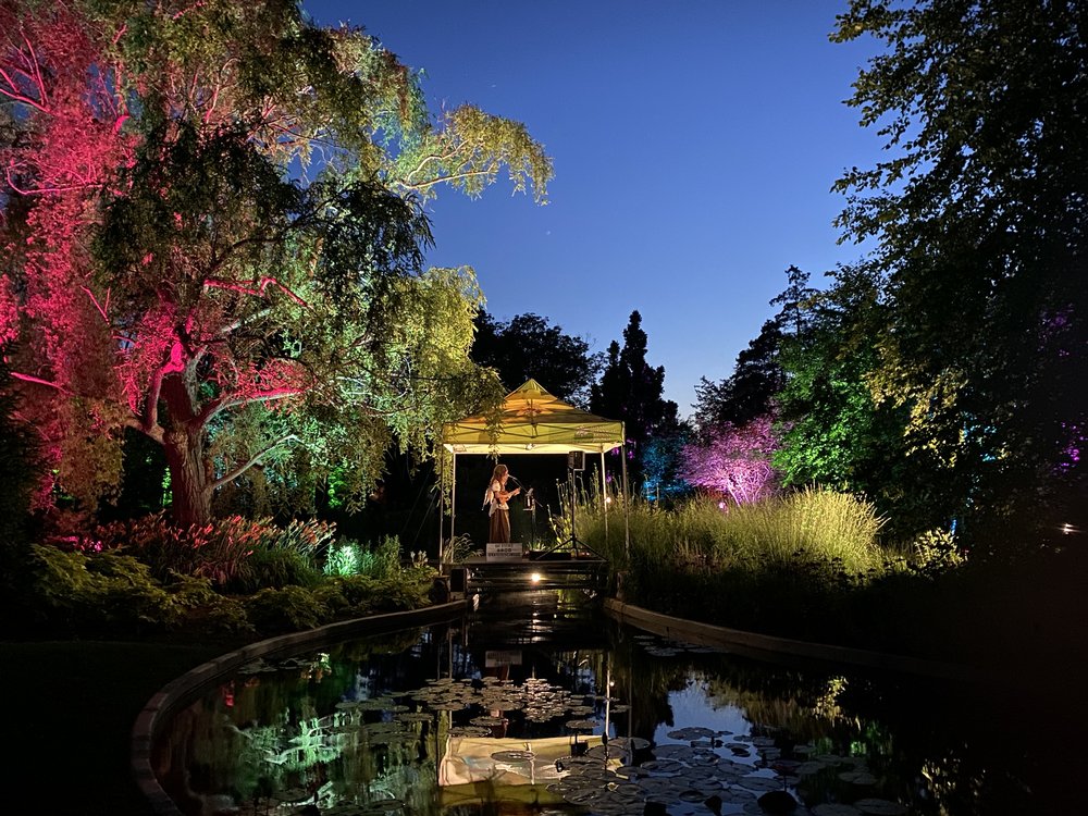 Royal Botanical Gardens glowing with colourful lights and an entertainer playing music on a summer night.