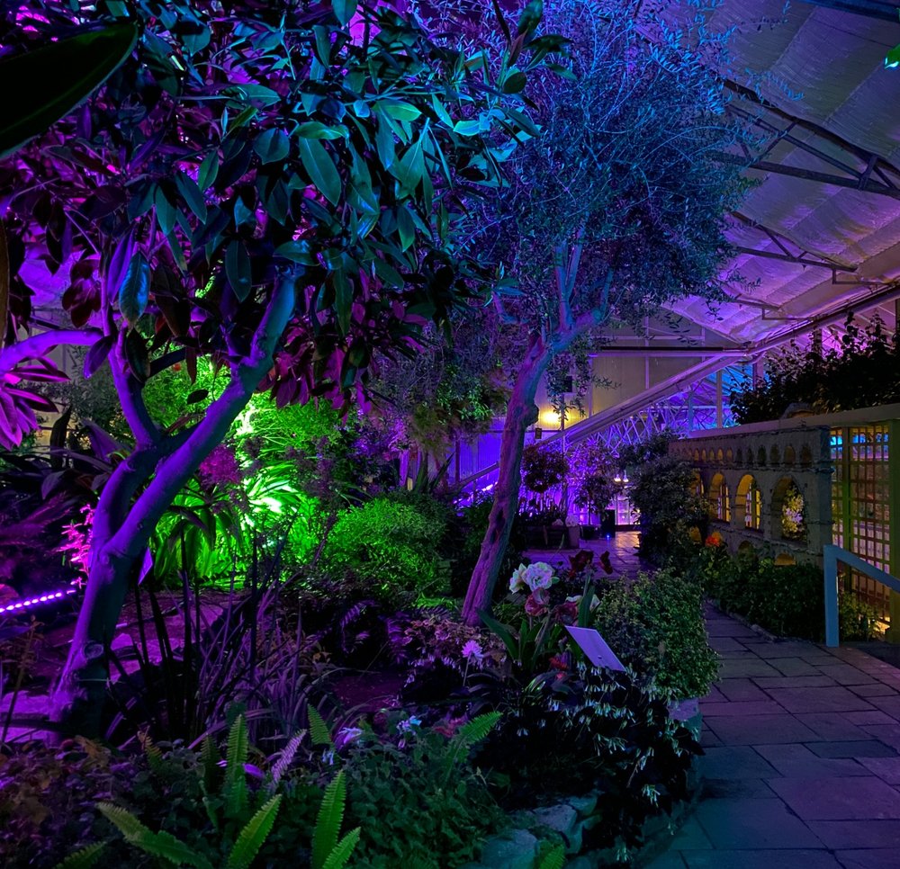 Mediterranean Garden glowing with colourful lights at night.