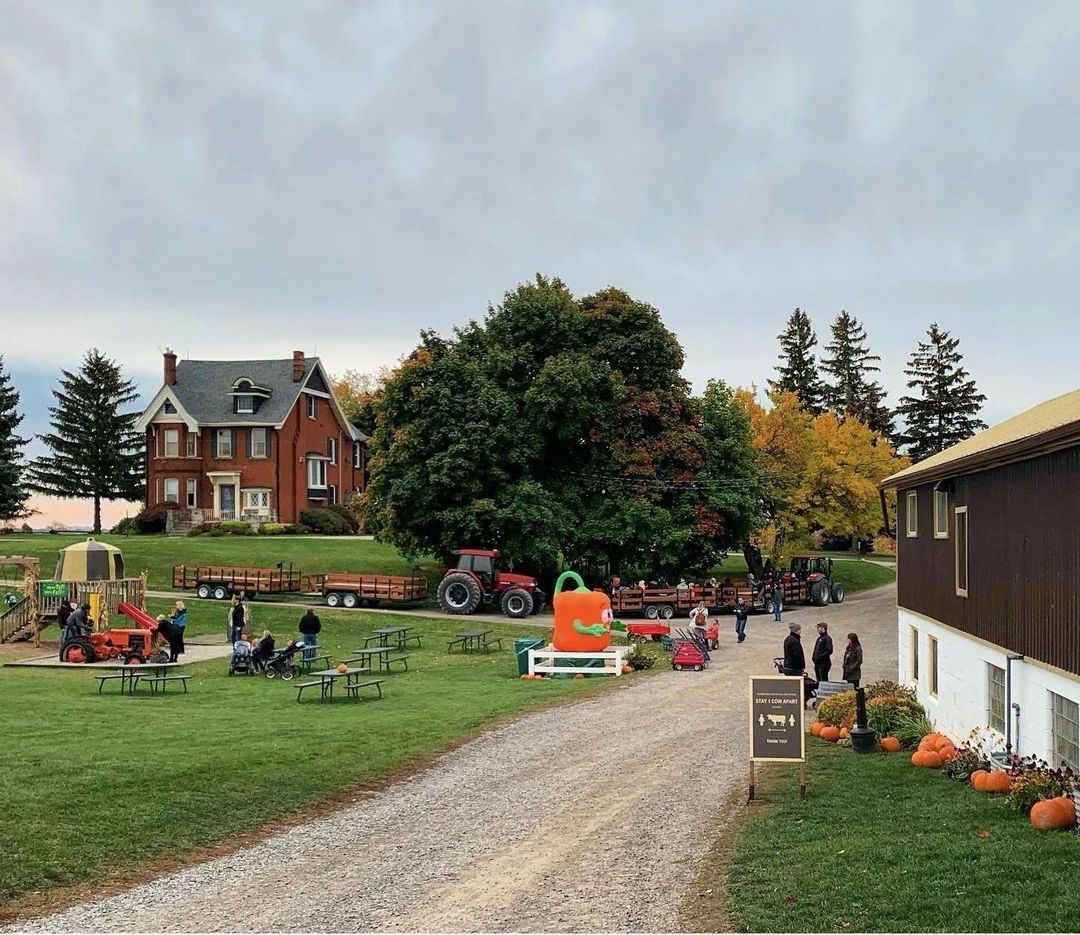 Dyment's Farm surrounded by fall coloured trees, tractor rides, and pumpkins.