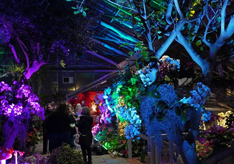 Mediterranean Garden glowing with colourful lights at night.