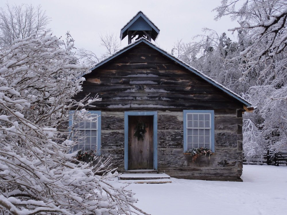 Westfield school surrounded by snow and trees.