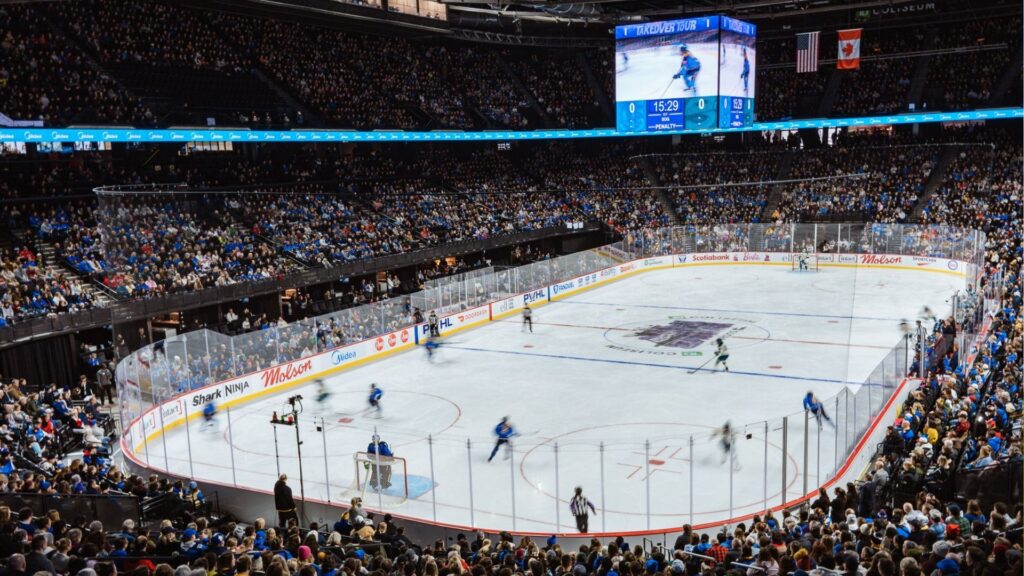 Hockey game with audience cheering and players on ice rink.