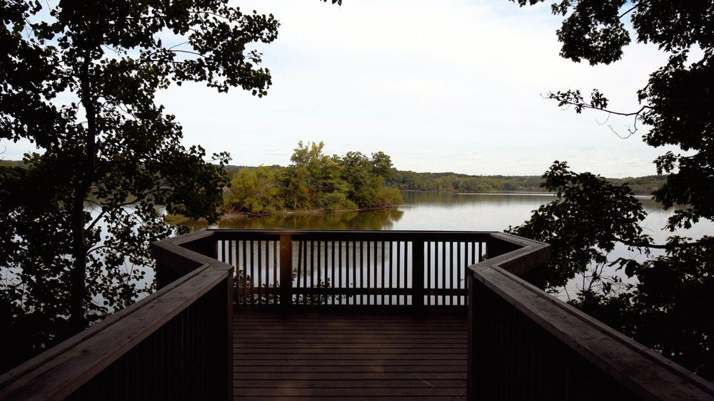 Cootes Paradise lookout