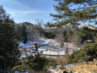 Scenic winter landscape with snow-dusted paths, evergreen trees, and open garden areas framed by branches, all under a clear blue sky.