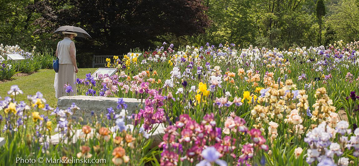 RBG flower garden