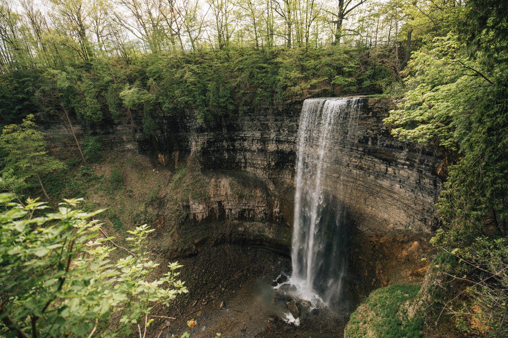 Tews Falls Spring