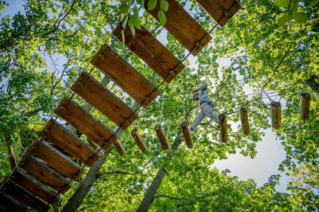 tree top trek near me