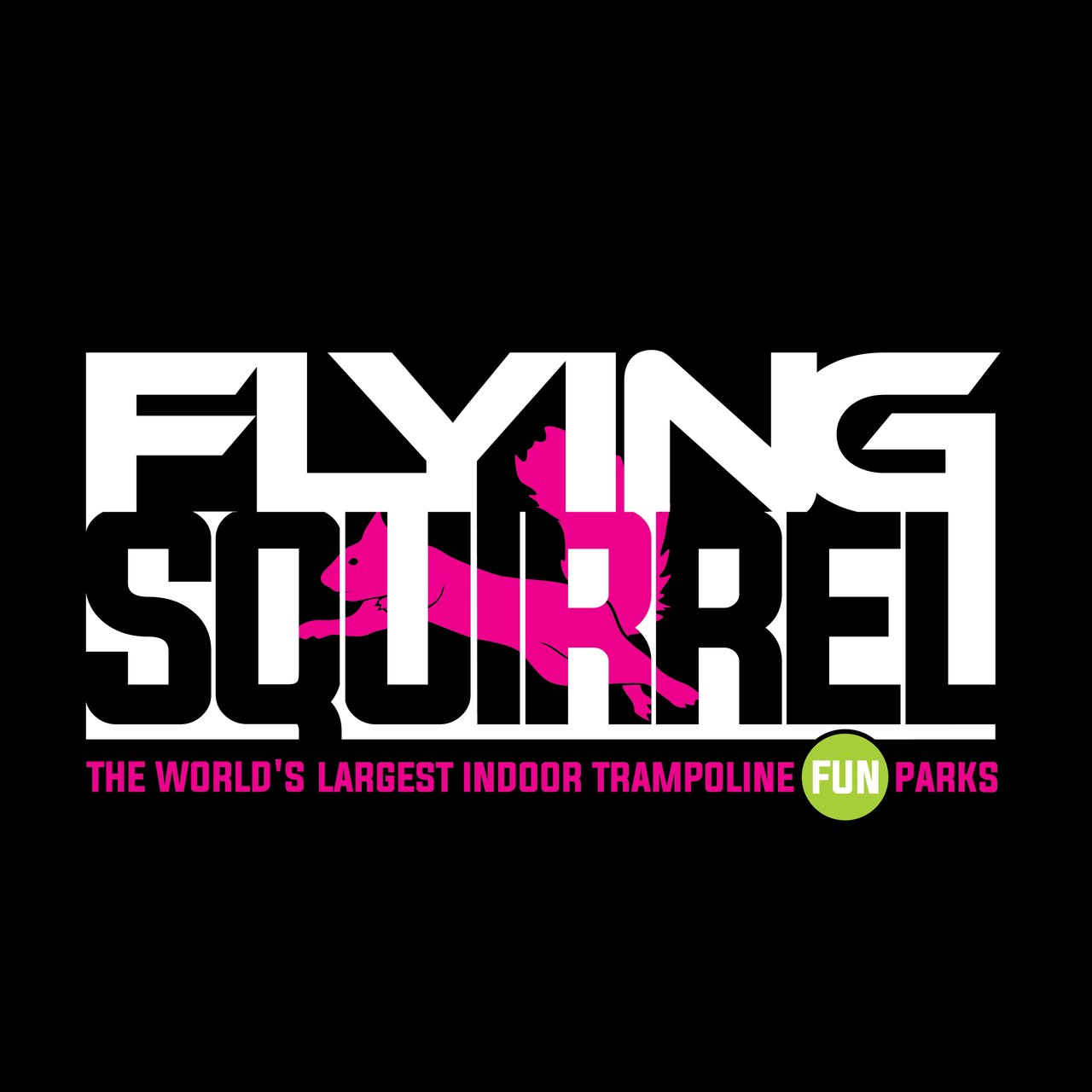 Flying squirrel logo