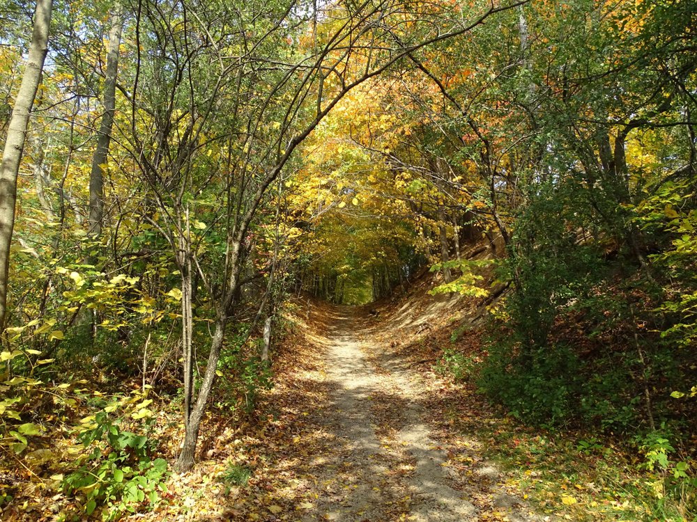 Dundas Valley trail lined with fall coloured trees.