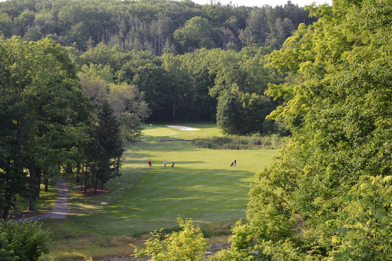 Kings Forest course