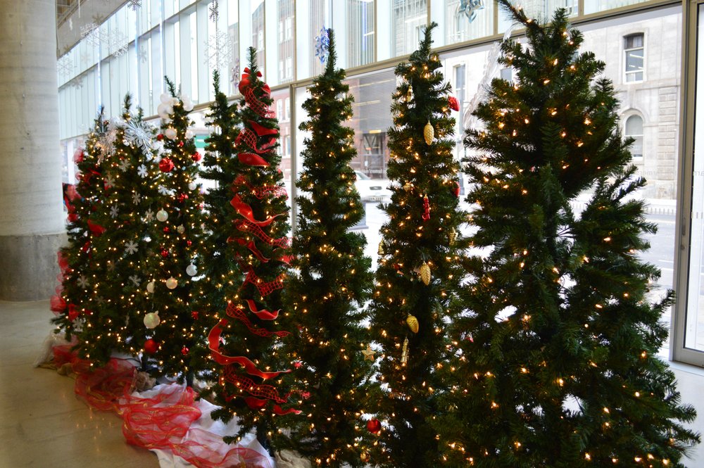 Christmas tress with sparkling lights.