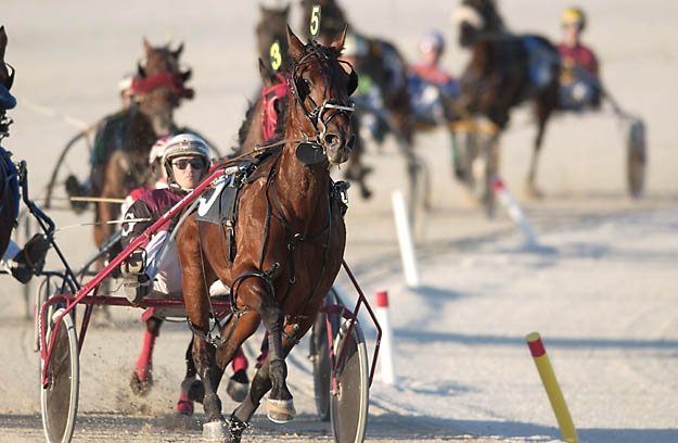 Flamboro Downs horse racing