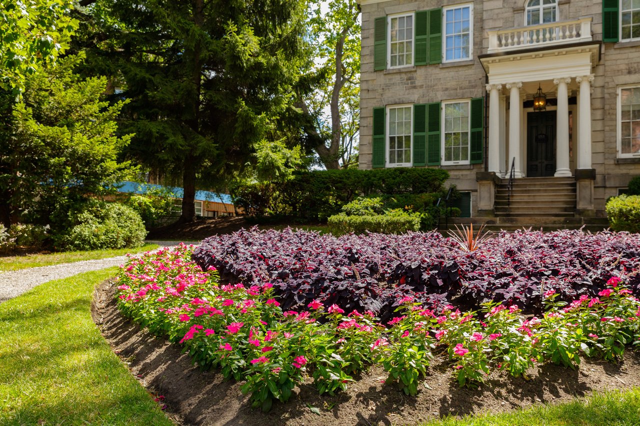 Front garden at Whitehern