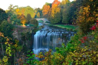 Webster Falls in the fall