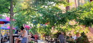hamilton patio with people sitting down enjoying lunch