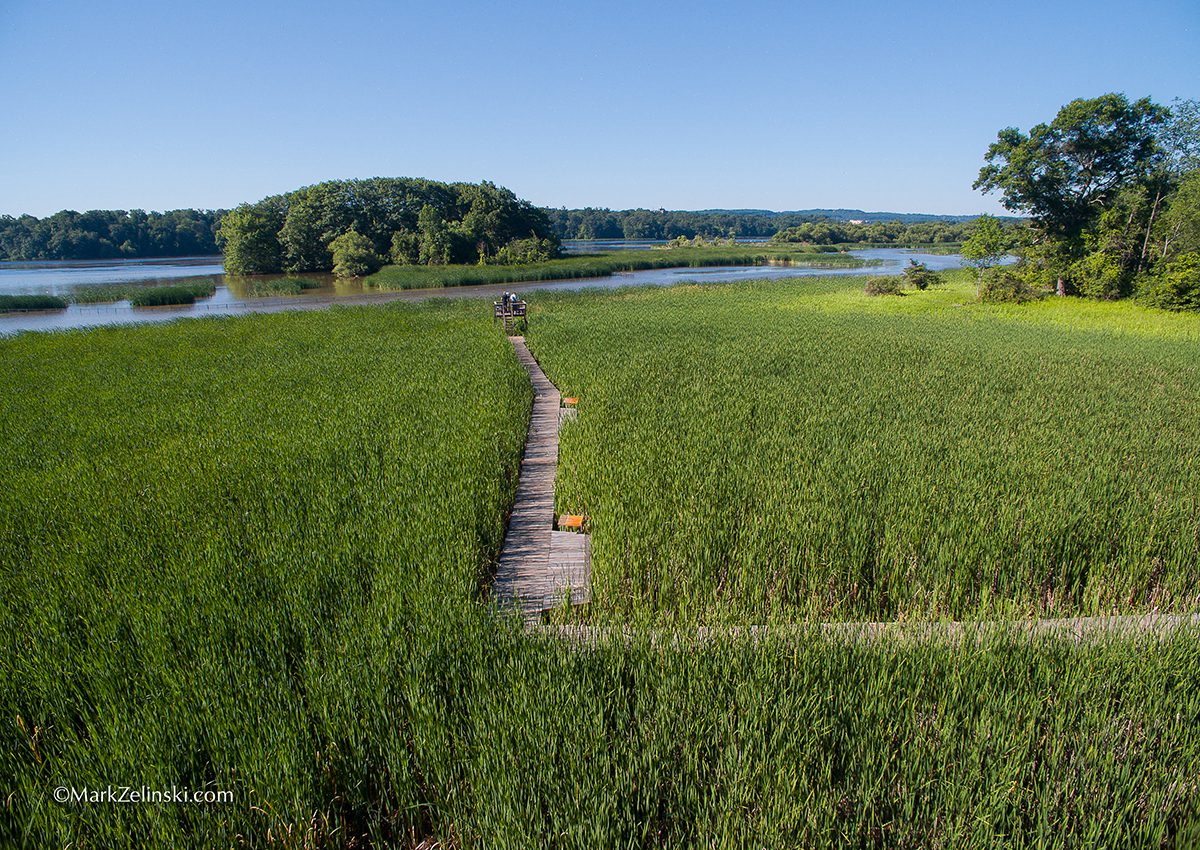 RBG trail