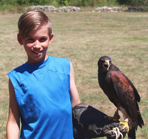  Aves Rapaces con niños pequeños